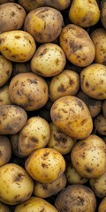Freshly Harvested Potatoes