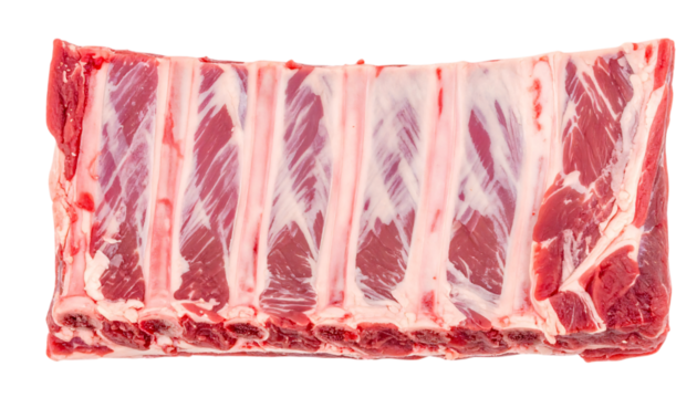Raw beef short ribs close-up, cut pieces, bone/red meat/fat, white background or png, ready to cook.
