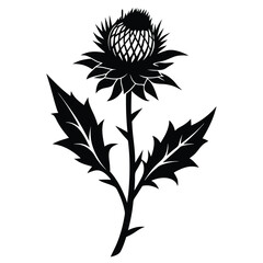 Bold Thistle Flower Silhouette Elegant Design of Scottish Symbol on Solid Background