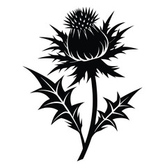 Silhouette Illustration of a Spiky Thistle Plant with Leaves and Stem Design