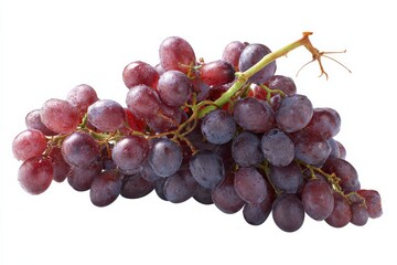 Fototapeta premium A bunch of ripe red grapes, glistening with water droplets, isolated on a white background.