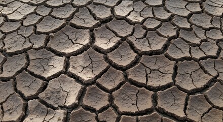 Cracked Earth Texture