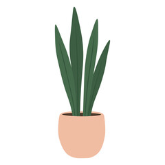 Minimalist houseplant with long pointed leaves in a soft pastel pot, flat vector illustration.
