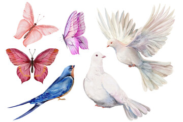 Watercolor set of birds and butterflies — doves, swallow, pink wings. Isolated on a white background