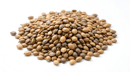 Fototapeta premium heap of sunflower seeds on white background