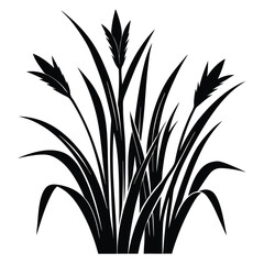 Black Silhouette of Grass Blades and Seed Heads in a Clump Formation