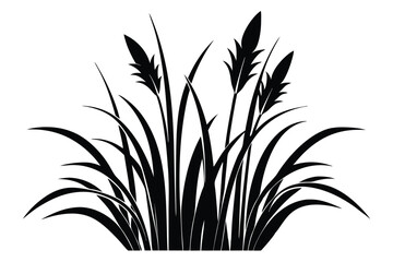 Fototapeta premium Black Silhouette of Reeds with Leaves and Catkins Graphic Illustration