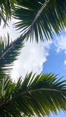 Skyward Palm Leaves with Giant Fronds and Ethereal Wide-Angle Textures for Surreal Tropical Background