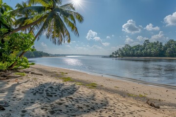 Tropical beach
