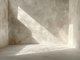 Minimalist indoor space with natural light and textured walls