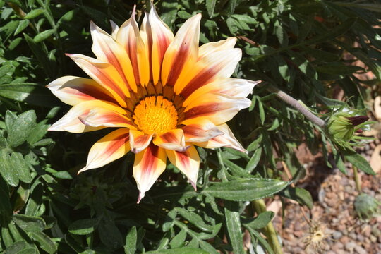 Os vinhos e vinhedos de Mendon&ccedil;a, Argentina.