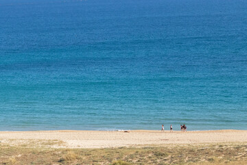 Fototapeta premium Algún animal o pez putrefacto varado en la orilla
