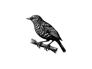 Obraz premium Bird Silhouette on Branch SVG Clipart 