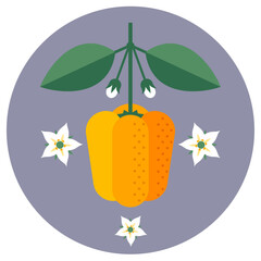 Yellow bell pepper with leaves and flowers.
Symmetrical flat illustration on a circle background for label or packaging.