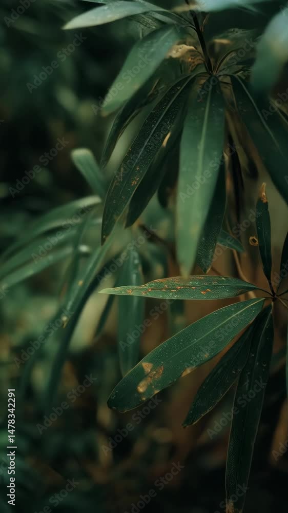 Aufkleber close up view of foliage with green leaves, creating a natural pattern with blurred background and s