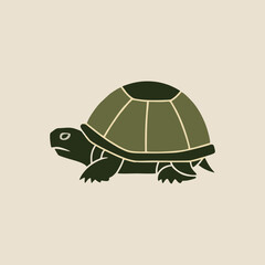 Timid turtle hiding inside its shell in a natural defensive position on the ground