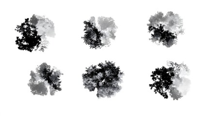 Six Aerial Views of Lush Greenery Trees Top View