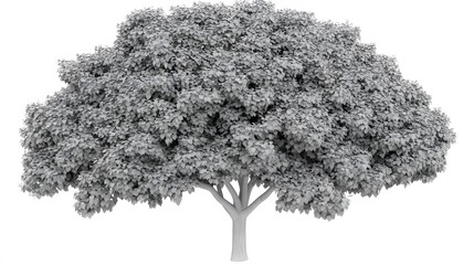 Fototapeta premium Detailed 3D Model of a Lush Bodhi Tree Isolated on White Background