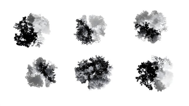 Six Aerial Views of Lush Greenery Trees Top View