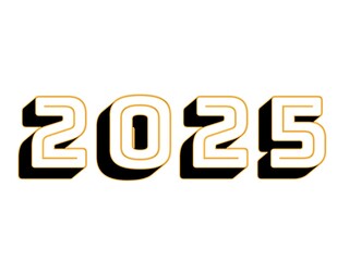 Vector 2025 New Year Design