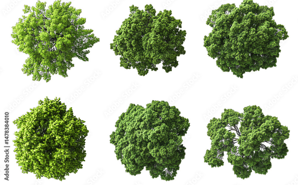 Poster an aerial view of six lush green trees isolated on a transparent background the trees have a variety