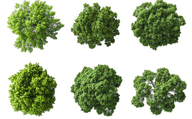 An Aerial View Of Six Lush Green Trees Isolated On A Transparent Background The Trees Have A Variety Of Shapes And Sizes With Some Appearing More Full And Others More Sparse They Are All Healthy And V