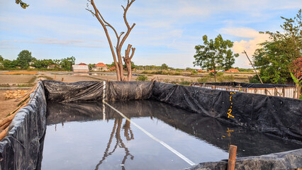 view of the shrimp pond