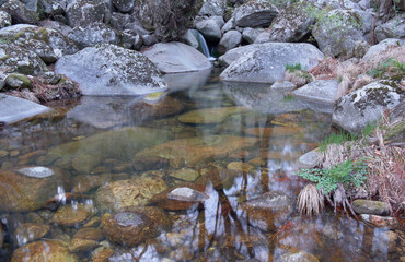 Stone forest and vegetation