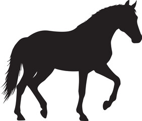 horse silhouette isolated on white