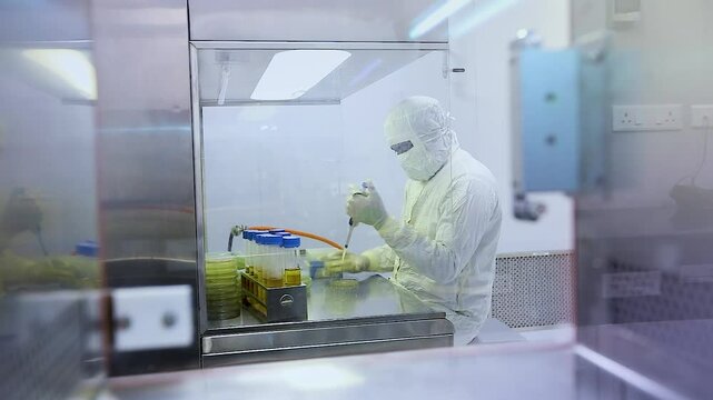 microbiologist in a laboratory working with petri dish in the microbiology laboratory, microbiologist scientist, while at his workplace in a research laboratory study a flask beaker in a cleanroom	