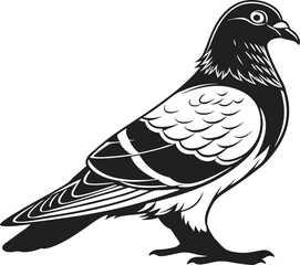 Obraz premium Standing Pigeon Illustration