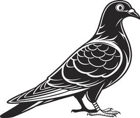 Standing Pigeon Illustration