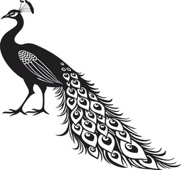 Fototapeta premium Standing Peacock Illustration