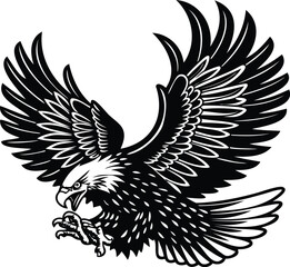 Soaring Eagle Illustration