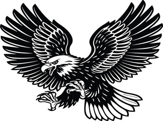 Soaring Eagle Illustration