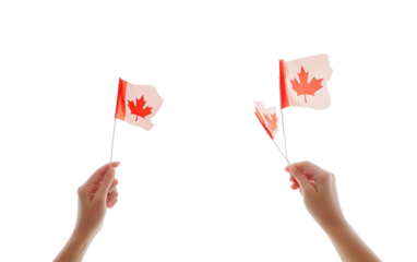 Close up of hands waving a small Canadian paper flag during a national celebration isolated on white background PNG