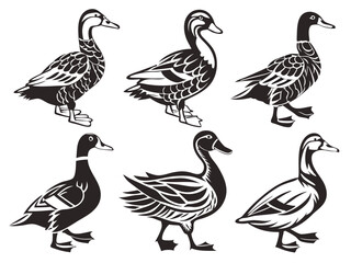 Stylized Duck Vector Set – Black and White Illustrations in Folk and Vintage Style