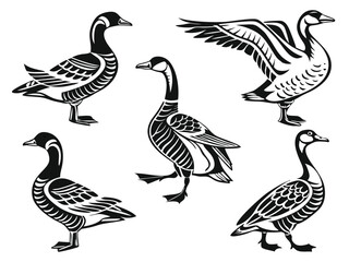 Stylized Duck Vector Set – Black and White Illustrations in Folk and Vintage Style