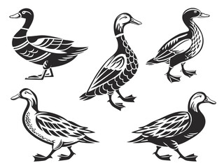 Naklejka premium Stylized Duck Vector Set – Black and White Illustrations in Folk and Vintage Style