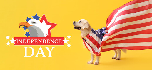 Cute Labrador dog with USA flag on yellow background
