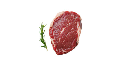 Close up of a raw ribeye steak with a sprig of rosemary on a transparent background studio shot view top