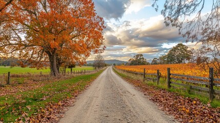 Naklejka premium A rural dirt road surrounded by vibrant autumn leaves