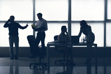 Silhouette of business consultants working in office