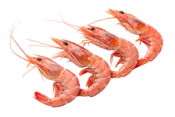 Fresh boiled red seafood featuring crayfish and shrimp, isolated on white