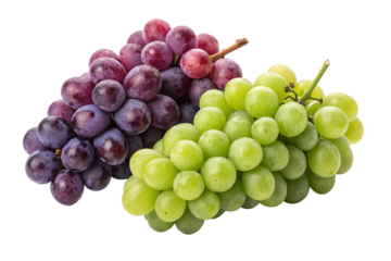 A juicy bunch of fresh red and green grapes, a healthy fruit, isolated from the vineyard