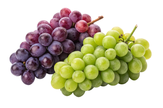 A juicy bunch of fresh red and green grapes, a healthy fruit, isolated from the vineyard