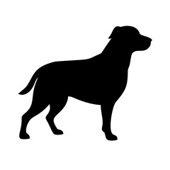 dog silhouette on transparent background for web and graphic design