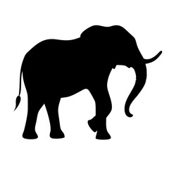 elephant silhouette on transparent background for web and graphic design