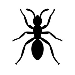 ant silhouette on transparent background for web and graphic design