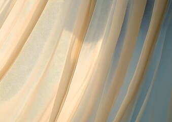 Obraz premium Sheer curtains in sunlight